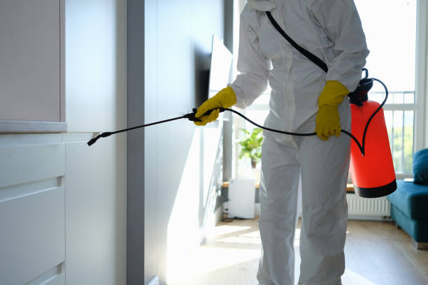 Best DIY Mold Remediation Support Services in Oakhurst, OK