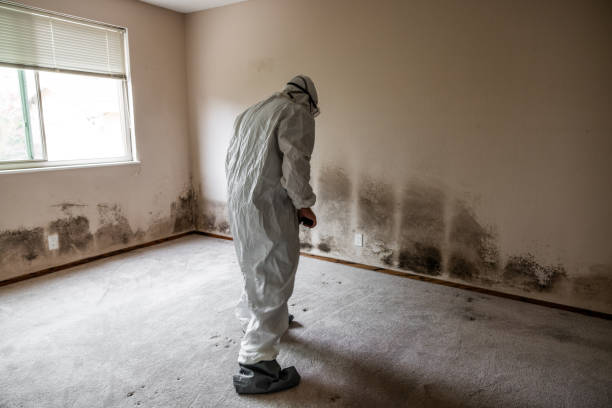 Best Residential Mold Remediation in Oakhurst, OK